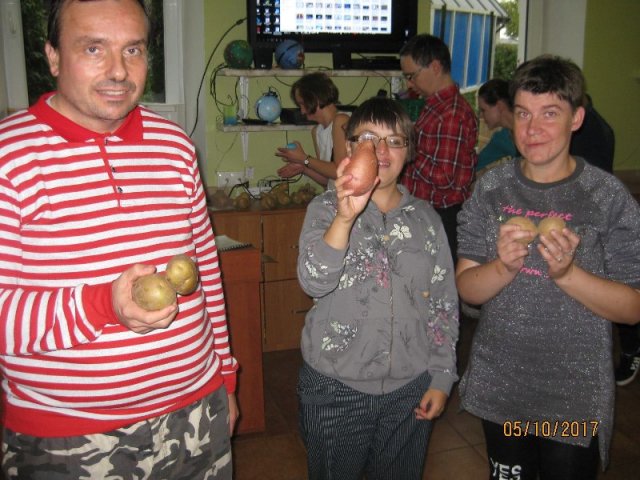 Święto dziś ziemniaka mamy…
